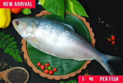 Fish Buy Online kolkata. .
